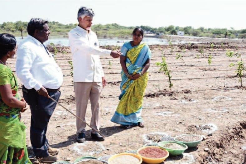 నీటిని దాచుకోవడం నేర్చుకోవాలి...భూమిలో నీరు ఇంకితేనే సేద్యం సాధ్యం.
